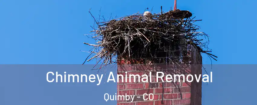 Chimney Animal Removal Quimby - CO