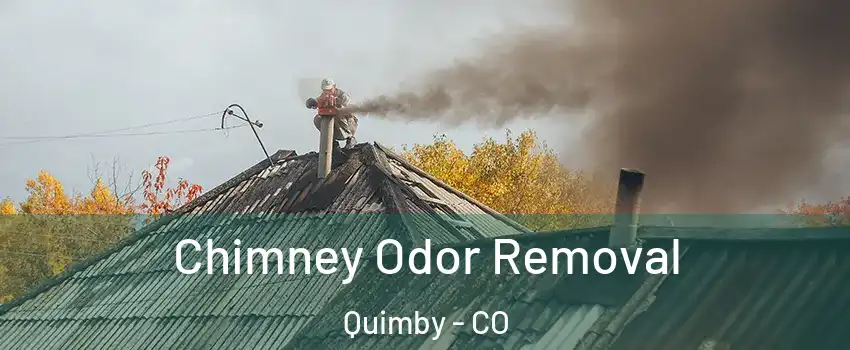 Chimney Odor Removal Quimby - CO
