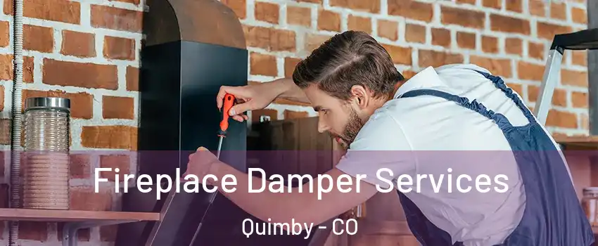 Fireplace Damper Services Quimby - CO